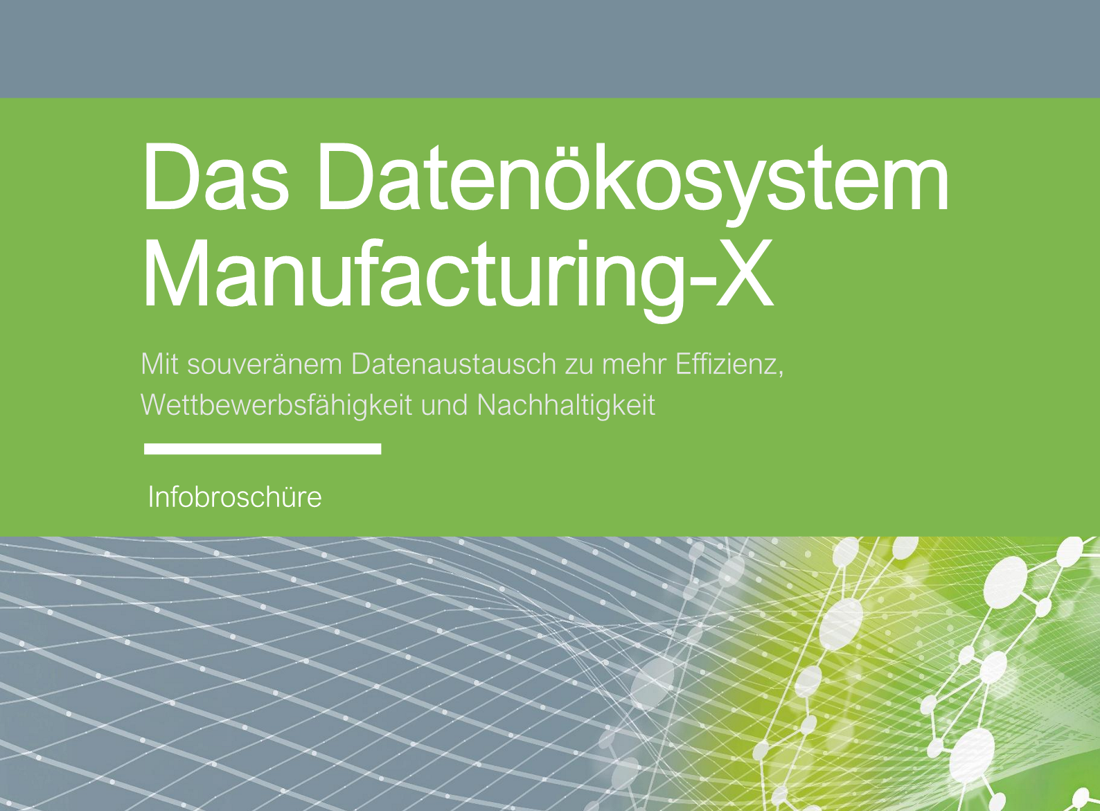 SMX_Infobroschüre Deckblatt – cutted